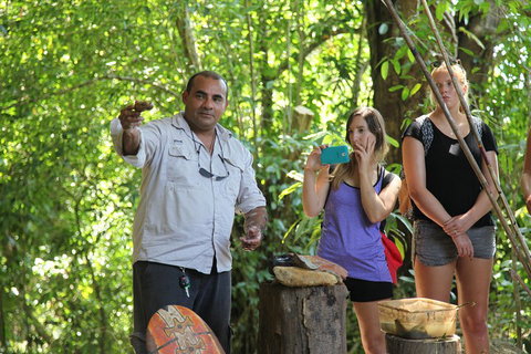 Cape Tribulation, Mossman Gorge, And Daintree Rainforest Day Trip From Cairns Or Port Douglas - Newcastle Accommodation 4