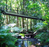 Double Pack-Ancient Rainforest and Waterfalls