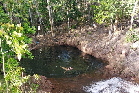 One Day Litchfield Park Adventures - Newcastle Accommodation 2