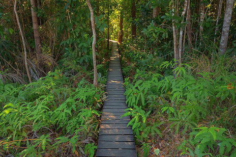 One Day Litchfield Park Adventures - Newcastle Accommodation 4