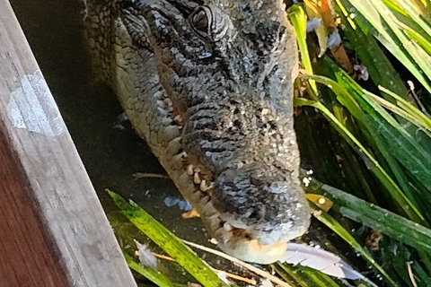 Litchfield Park Adventures And Jumping Crocodile Cruise + Butterfly Farm - Newcastle Accommodation 1