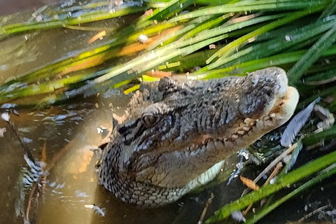 Litchfield Park Adventures And Jumping Crocodile Cruise + Butterfly Farm - Newcastle Accommodation 4