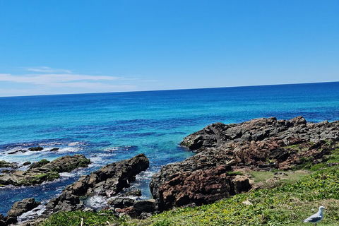 Private Custom Byron Bay Day Out - Newcastle Accommodation 4