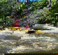 Yarra River Half-Day Rafting Experience - Newcastle Accommodation