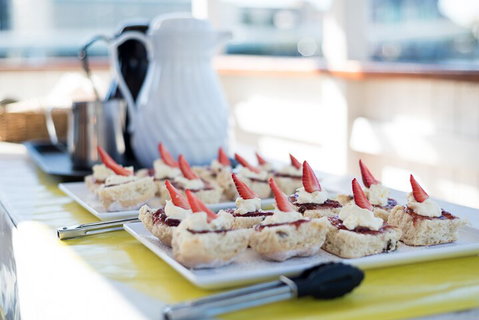 90min Brisbane River Cruise/Tour - Newcastle Accommodation 0