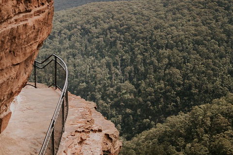 Private Blue Mountains And Wildlife Park Tour From Sydney With Barbecue Lunch - Newcastle Accommodation 5