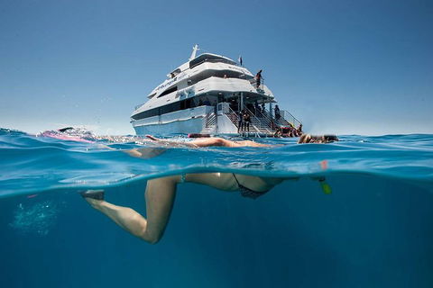 3 Day Great Barrier Reef, Daintree Rainforest And Outback Chillagoe Tour - New Castle Tourism 0