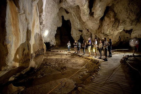 3 Day Great Barrier Reef, Daintree Rainforest And Outback Chillagoe Tour - New Castle Tourism 1