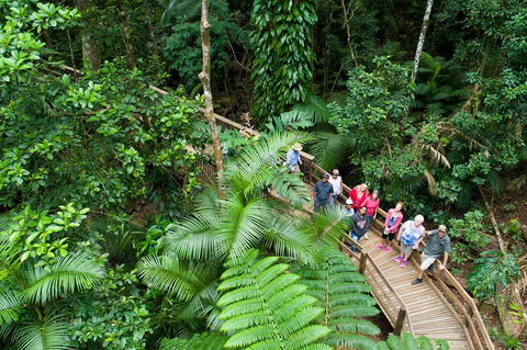 3 Day Great Barrier Reef, Daintree Rainforest And Outback Chillagoe Tour - New Castle Tourism 2