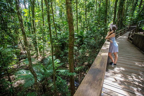3 Day Great Barrier Reef, Daintree Rainforest And Outback Chillagoe Tour - New Castle Tourism 3