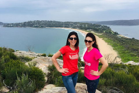 Small-Group Sydney's Northern Beaches And Ku-ring-gai National Park Bus Tour - New Castle Tourism 3