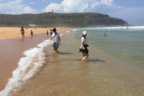 Small-Group Sydney's Northern Beaches And Ku-ring-gai National Park Bus Tour - New Castle Tourism 5