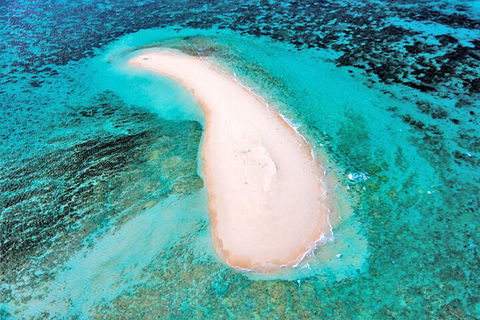 Private Coral Cay Bubbles Tour - New Castle Tourism 3