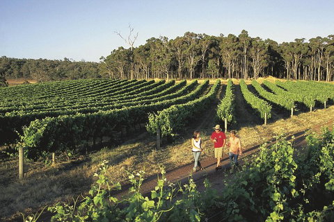 Margaret River, Caves, Wine And Cape Leeuwin Lighthouse Tour From Perth - Newcastle Accommodation 1
