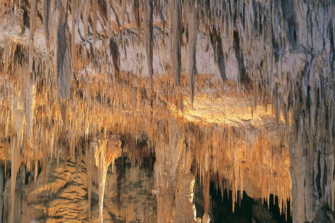 Margaret River, Caves, Wine And Cape Leeuwin Lighthouse Tour From Perth - Newcastle Accommodation 3