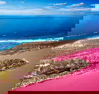 Pink Lake Small-Group Buggy Tour - Newcastle Accommodation
