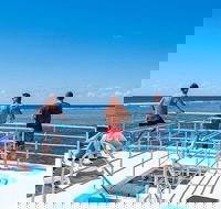 Calypso Outer Great Barrier Reef Cruise from Port Douglas - Newcastle Accommodation