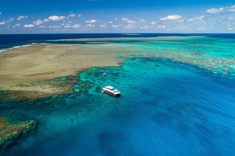Calypso Outer Great Barrier Reef Cruise From Port Douglas - Newcastle Accommodation 1