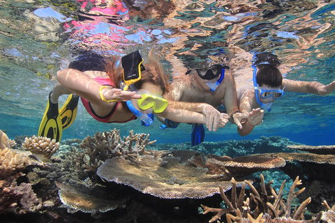 Calypso Outer Great Barrier Reef Cruise From Port Douglas - Newcastle Accommodation 3