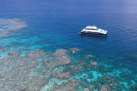 Calypso Outer Great Barrier Reef Cruise From Port Douglas - Newcastle Accommodation 4