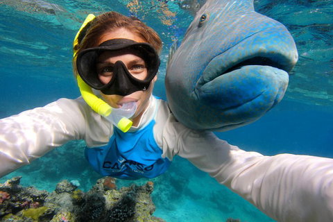 Calypso Outer Great Barrier Reef Cruise From Port Douglas - Newcastle Accommodation 5