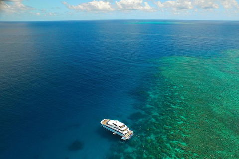 Great Barrier Reef Snorkeling And Diving Cruise From Cairns - New Castle Tourism 4