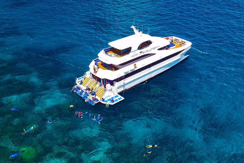 Great Barrier Reef Snorkeling And Diving Cruise From Cairns - New Castle Tourism 5