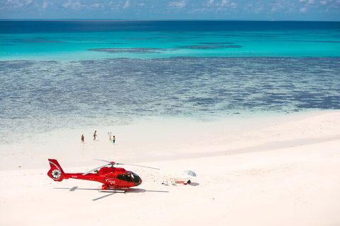 Private Helicopter Tour: Reef Island Snorkeling And Gourmet Picnic Lunch - New Castle Tourism 2