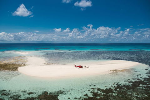 Private Helicopter Tour: Reef Island Snorkeling And Gourmet Picnic Lunch - New Castle Tourism 4