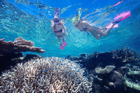 Great Barrier Reef Scenic Helicopter Tour And Cruise From Cairns - New Castle Tourism 3