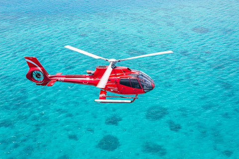 Cruise To Moore Reef Pontoon And Return Helicopter Flight From Cairns - Newcastle Accommodation 1
