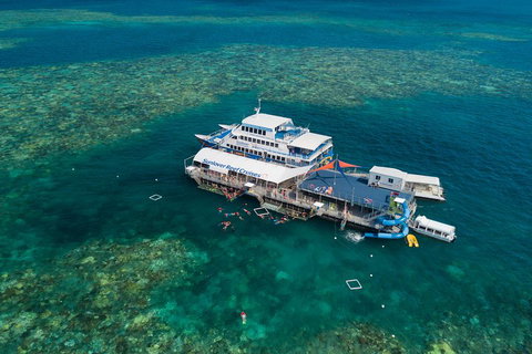 Cruise To Moore Reef Pontoon And Return Helicopter Flight From Cairns - Newcastle Accommodation 2