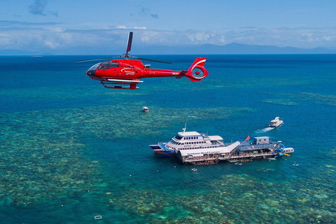 Cruise To Moore Reef Pontoon And Return Helicopter Flight From Cairns - Newcastle Accommodation 4
