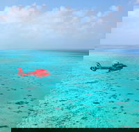 Port Douglas Scenic Flights - Newcastle Accommodation