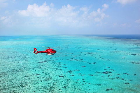 Great Barrier Reef 30-Minute Scenic Helicopter Tour From Cairns - New Castle Tourism 2