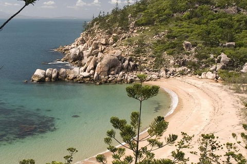 Townsville Helicopter Tour - Newcastle Accommodation 0