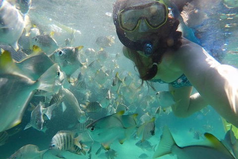 2-Day Moreton Island 4WD Camping Tour From Brisbane - Newcastle Accommodation 0