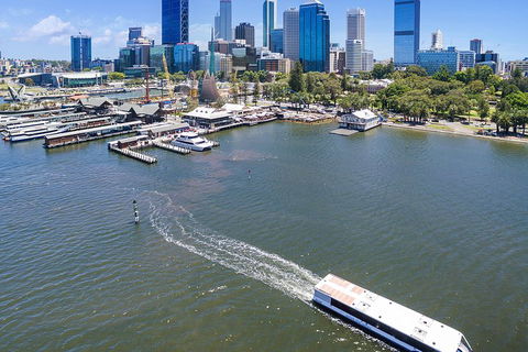 Summer Lunch Cruise - Newcastle Accommodation 2