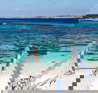 Perth to Rottnest Island Roundtrip Ferry Ticket - Newcastle Accommodation