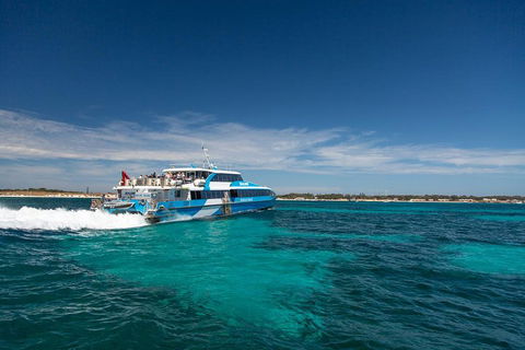 Perth To Rottnest Island Roundtrip Ferry Ticket - Newcastle Accommodation 4