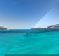 Rottnest Island Bayseeker Day Trip from Perth - Newcastle Accommodation