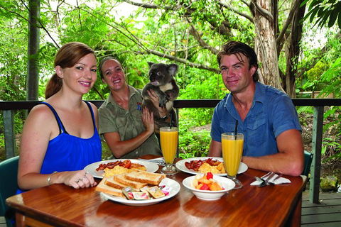 Breakfast With The Koalas At Hartley's Crocodile Park From Cairns Or Palm Cove - New Castle Tourism 0