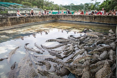 Hartley's Crocodile Adventures Day Trip From Cairns - New Castle Tourism 0