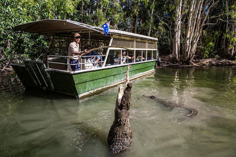 Hartley's Crocodile Adventures Day Trip From Cairns - New Castle Tourism 2