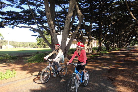 Self-Guided Point Nepean National Park Bike Hire - Newcastle Accommodation 2