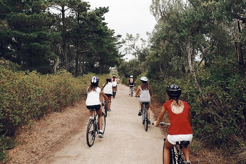 Self-Guided Point Nepean National Park Bike Hire - Newcastle Accommodation 3