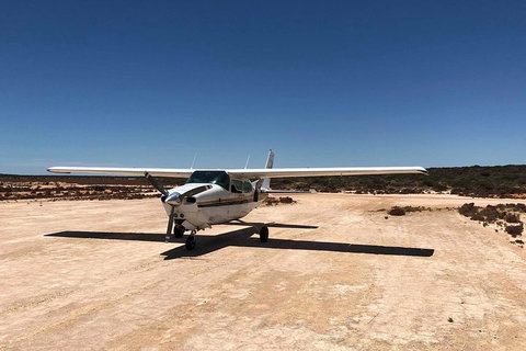 Kalbarri Gorges & West Coast - Ground & Air Tour - Newcastle Accommodation 4