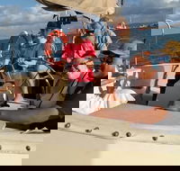 Townsville Private Hire Sunset Sail Sailing Cruise Boat Tour Charter Experience - Newcastle Accommodation