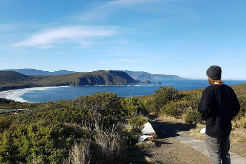 4-Day Fabulous Tasmania Tour: Wineglass Bay, Port Arthur, Devils & Bruny Island - New Castle Tourism 0