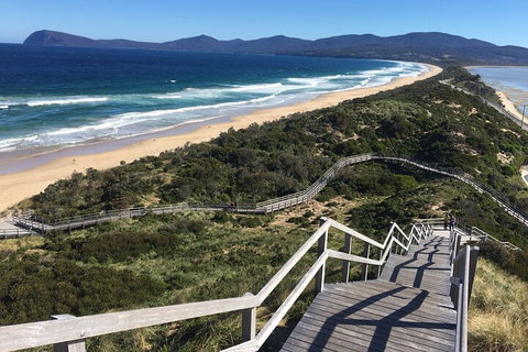 4-Day Fabulous Tasmania Tour: Wineglass Bay, Port Arthur, Devils & Bruny Island - New Castle Tourism 5